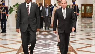 برهان سيسي