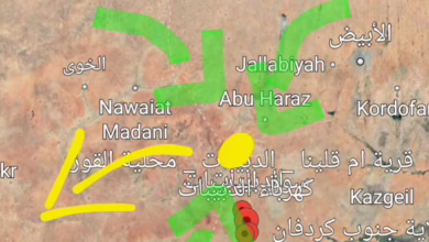 IMG 20250516 162316 364