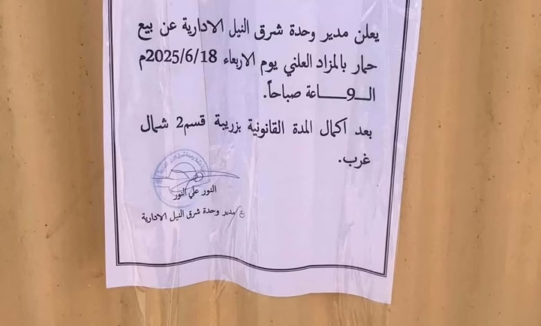 وحدة إدارية تعلن عن بيع "حمار" في مزاد علني 1 FB IMG 1750021778347