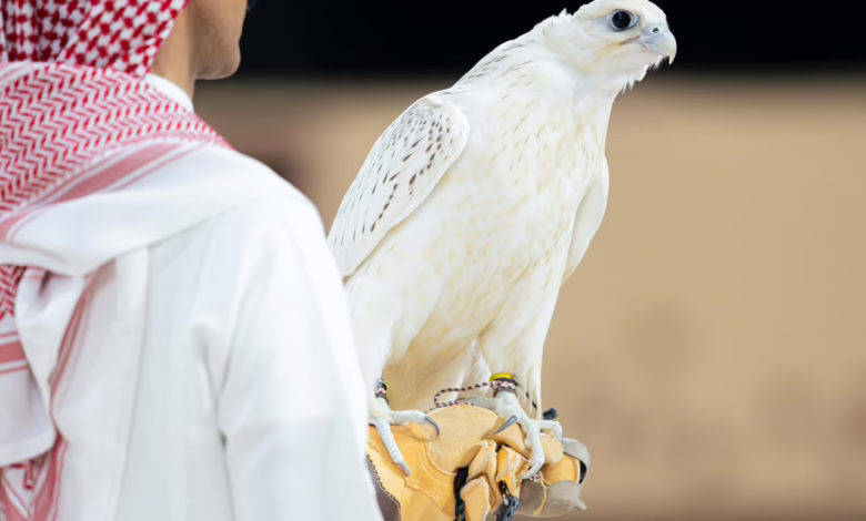بيع صقر بمبلغ يزيد من 300 الف دولار بالسعودية 1 IMG 20250825 WA0066